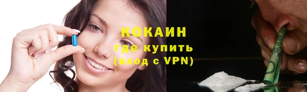 соль ск Артём